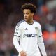 Reasons Tyler Adams has become Chelsea's no.1 transfer midfield alternative for Caicedo. 24