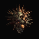 Bleed From Within In Place of your Halo Mp3 Download