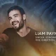 Liam Payne Honored Posthumously with Grammy Award in Emotional Memorial, Stuns Fans Worldwide 7