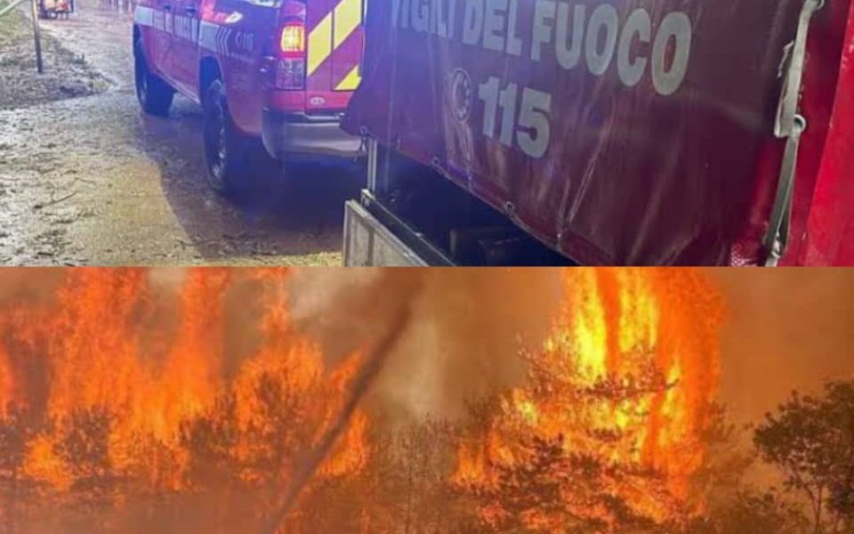 **POŽAR V KRASU: Uničujoči požari zajeli slovenski Kras, stotine gasilcev se borijo za obvladovanje ognja** 16