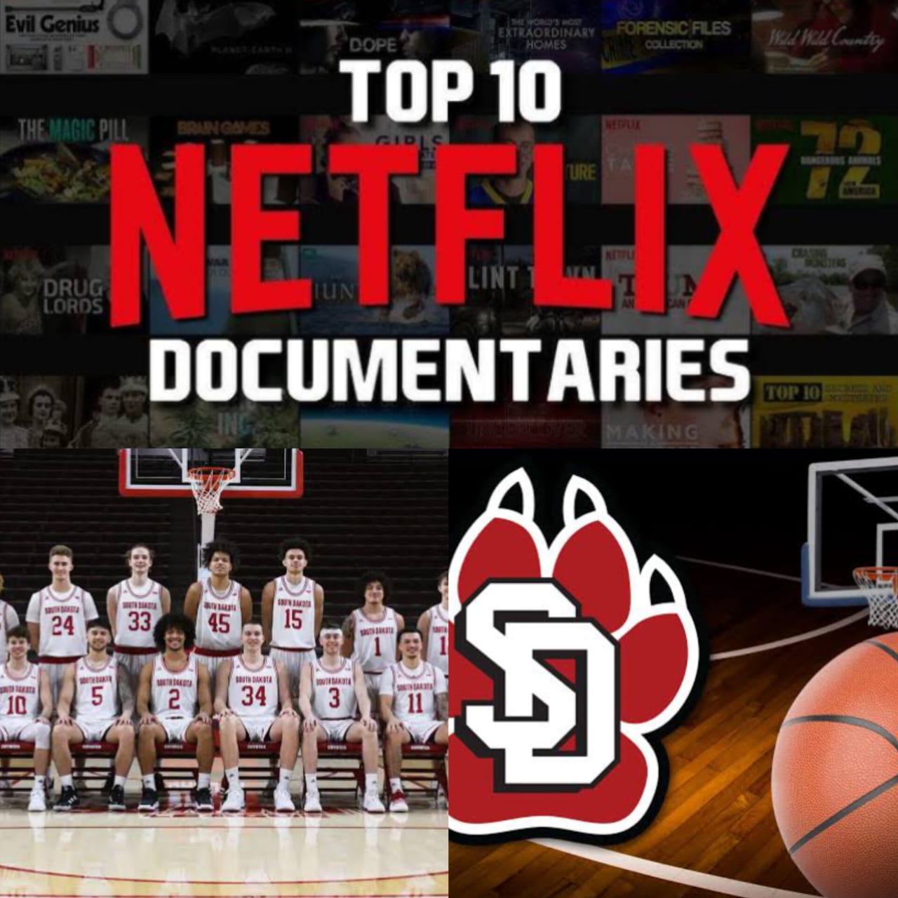 **"Netflix Partners with USD Coyote: Documentary Series and Event Sponsorships Announced"** 1