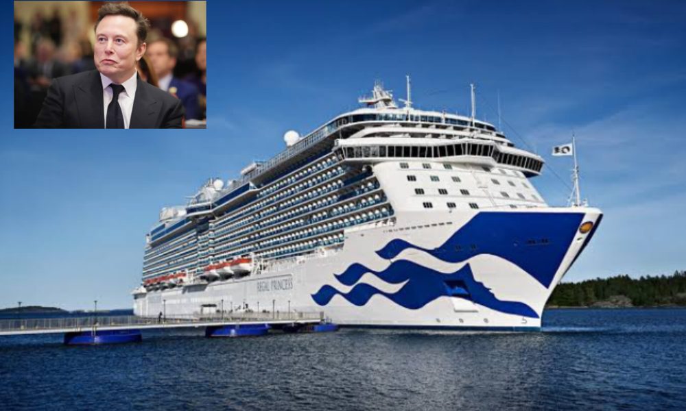 Elon Musk Acquires 65% Stake in Princess Cruises in a Bold Move into the Tourism Industry 25