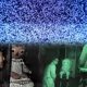 **Zak Bagans Makes Another Devastating Move: Lifts the Infamous Annabelle Doll and Recounts a Horrific Encounter** 3