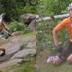 Tragisch verlies in de wielerwereld: Nederlandse ster Mathieu van der Poel overleden na noodlottig ongeval 15